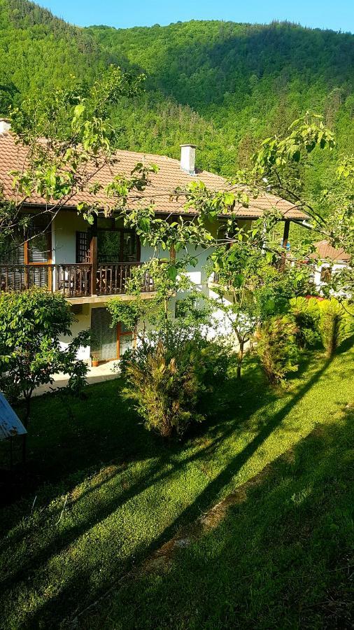 Вила Керенски Ribarica Extérieur photo